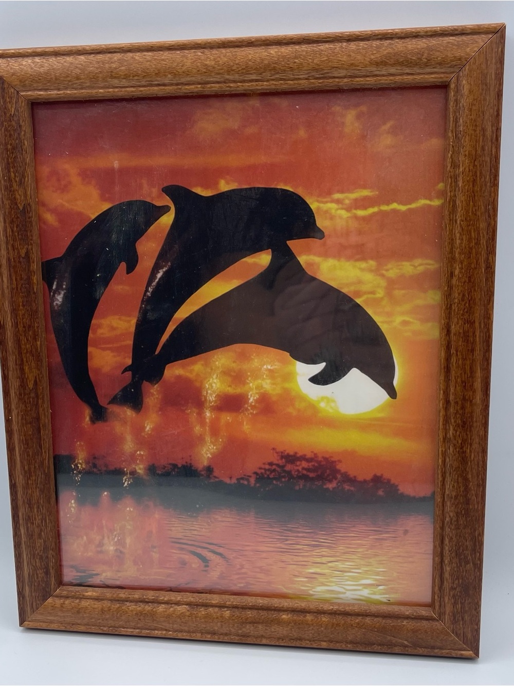 Y2K dolphin Sunset frame orange sun 2000s 9”X11”
